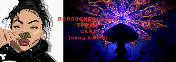 2c-b Верхнеуральск